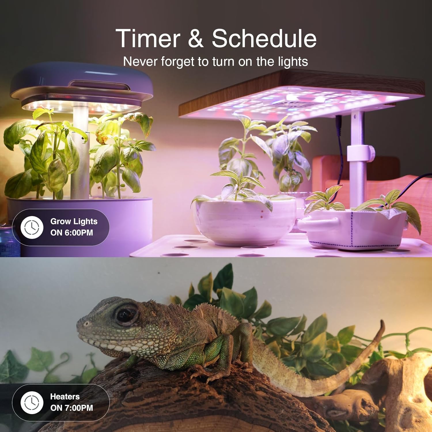 GHome Smart Power Strip, 3 USB Ports and 3 Individually Controlled Smart Outlets, WiFi Surge Protector Works with Alexa Google Home, Home Office Cruise Ship Travel Multi-Plug Extender Flat Plug, UL - Image 3